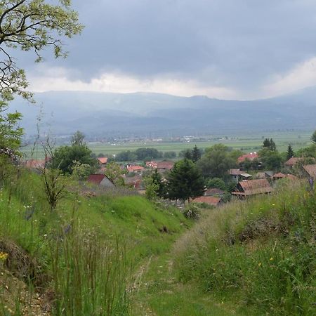 Birdsong Cottage - Peaceful Country Retreat Păuleni-Ciuc Eksteriør bilde