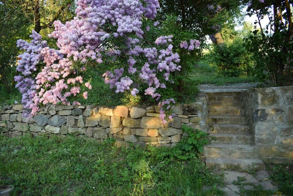 Birdsong Cottage - Peaceful Country Retreat Păuleni-Ciuc Eksteriør bilde