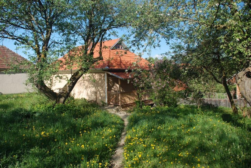 Birdsong Cottage - Peaceful Country Retreat Păuleni-Ciuc Eksteriør bilde