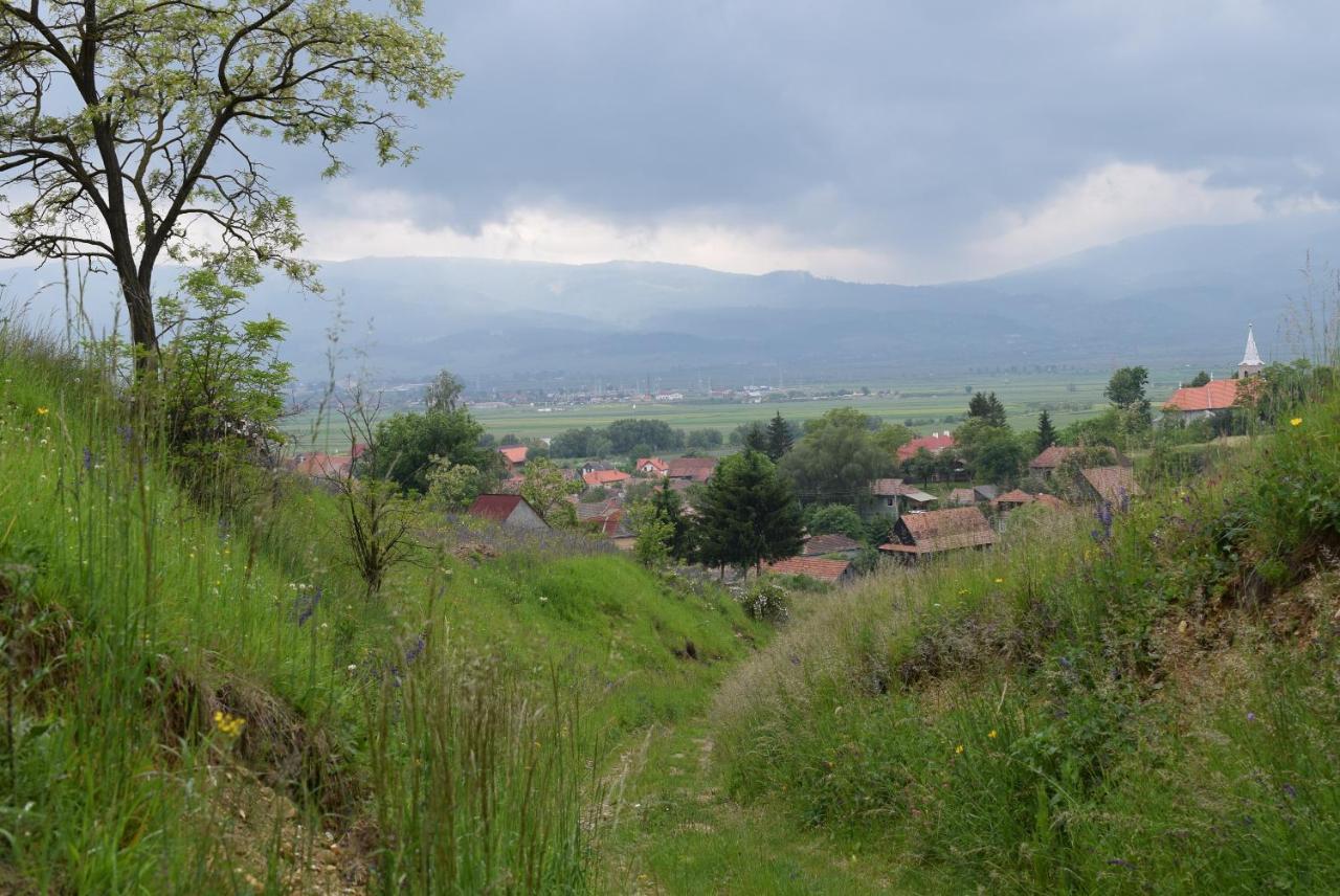 Birdsong Cottage - Peaceful Country Retreat Păuleni-Ciuc Eksteriør bilde